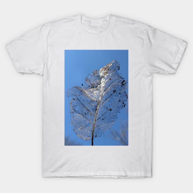 Leaf Skeleton T-Shirt by pinkal